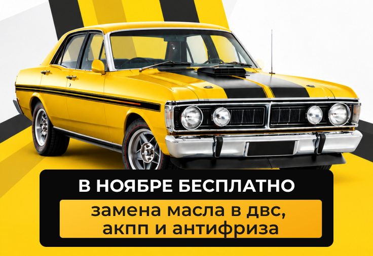Бесплатные услуги в ноябре